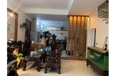 Bán nhà Đầm Trấu, Phân lô, Gara, Kinh doanh, 50m, 5 tầng, 8,5 tỷ